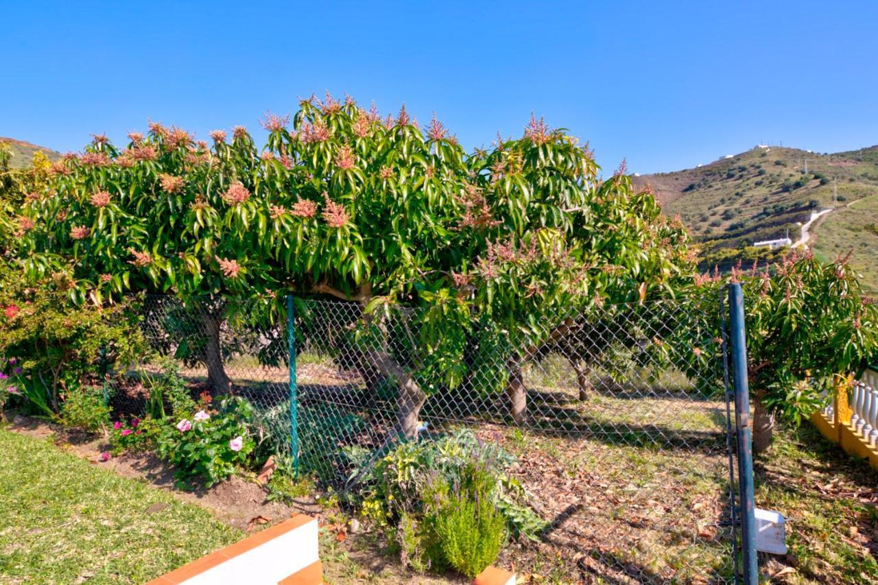 Villa Grillo Torrox Exterior foto